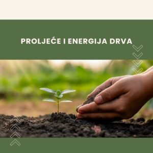Read more about the article PROLJEĆE I ENERGIJA DRVA